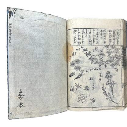 訓蒙図彙大成｜Edo Multi-Volume Illustrated Natural History Encyclopedia｜Rare Japanese Woodblock Book 和本 - B122