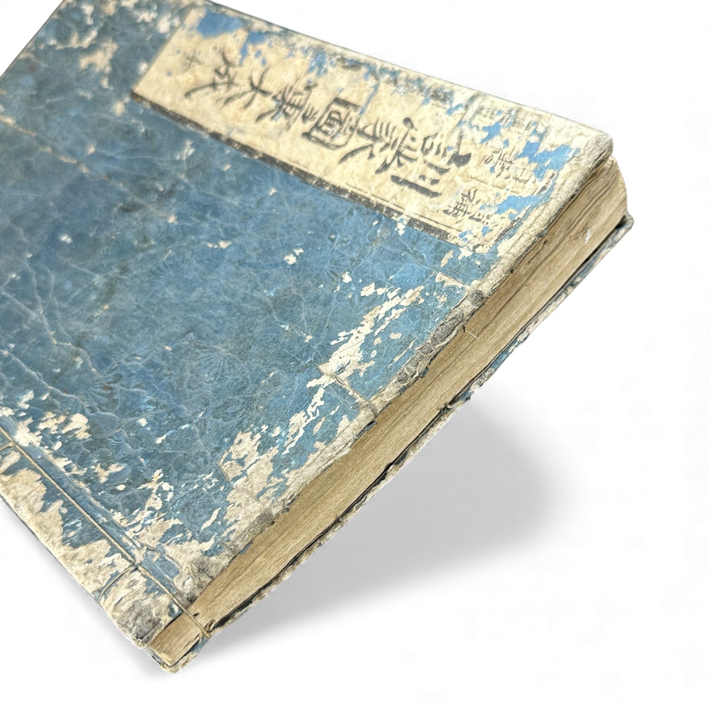 訓蒙図彙大成｜Edo Multi-Volume Illustrated Natural History Encyclopedia｜Rare Japanese Woodblock Book 和本 - B122