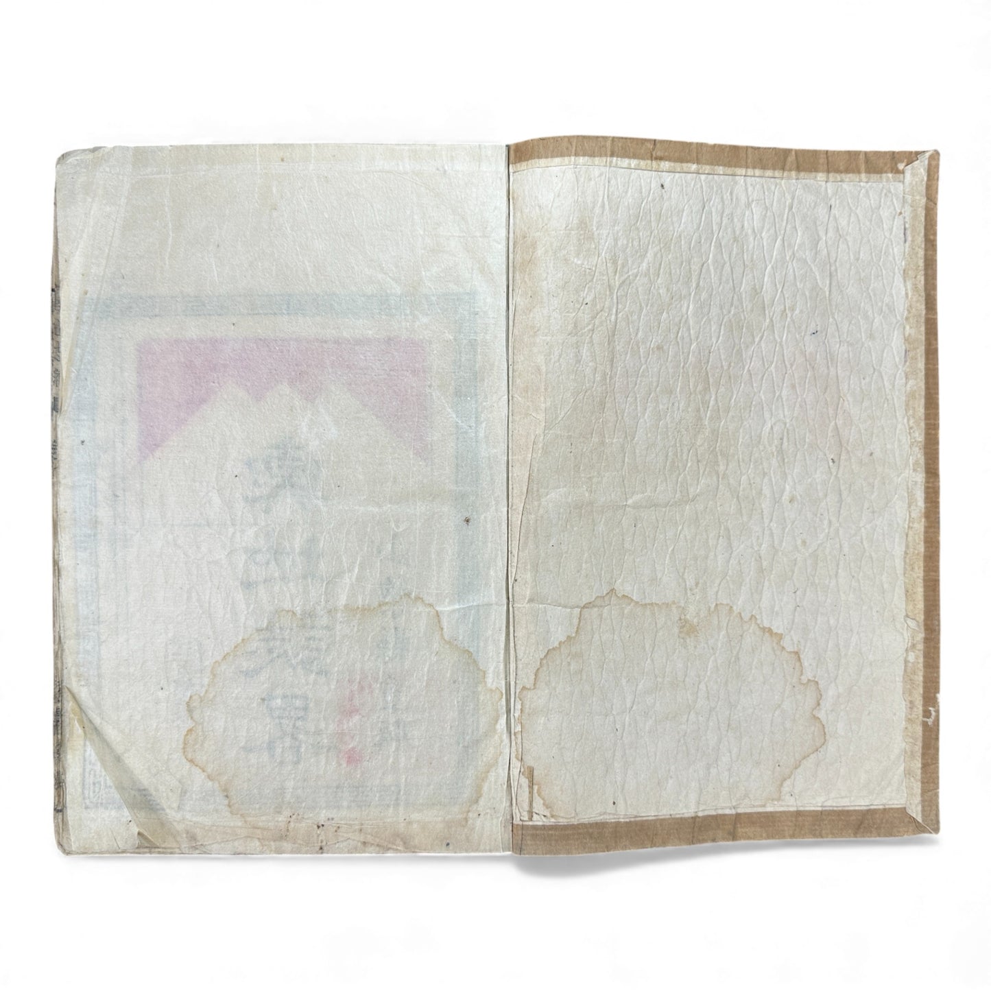 Meiji 1874 Japanese Illustrated Geography Book –《輿地誌畧》Yochi Shiryaku – Maps, Cultures, Animals – Rare Original - B123