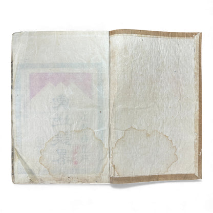 Meiji 1874 Japanese Illustrated Geography Book –《輿地誌畧》Yochi Shiryaku – Maps, Cultures, Animals – Rare Original - B123