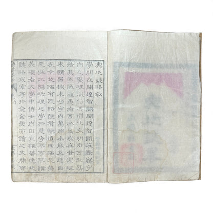 Meiji 1874 Japanese Illustrated Geography Book –《輿地誌畧》Yochi Shiryaku – Maps, Cultures, Animals – Rare Original - B123