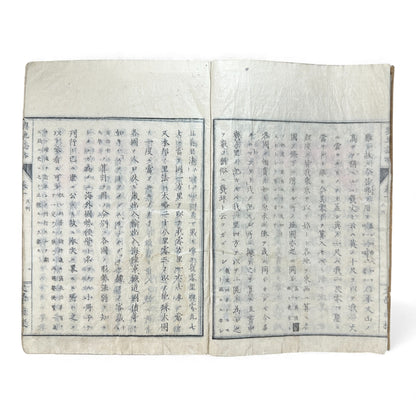 Meiji 1874 Japanese Illustrated Geography Book –《輿地誌畧》Yochi Shiryaku – Maps, Cultures, Animals – Rare Original - B123