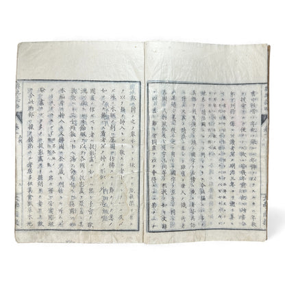 Meiji 1874 Japanese Illustrated Geography Book –《輿地誌畧》Yochi Shiryaku – Maps, Cultures, Animals – Rare Original - B123