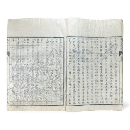 Meiji 1874 Japanese Illustrated Geography Book –《輿地誌畧》Yochi Shiryaku – Maps, Cultures, Animals – Rare Original - B123