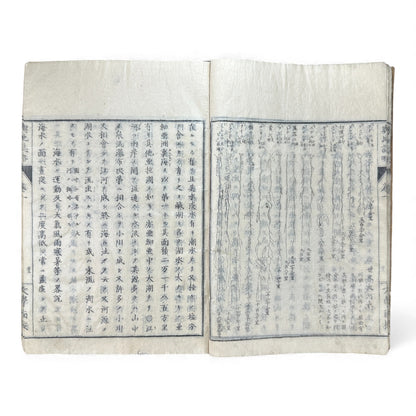 Meiji 1874 Japanese Illustrated Geography Book –《輿地誌畧》Yochi Shiryaku – Maps, Cultures, Animals – Rare Original - B123