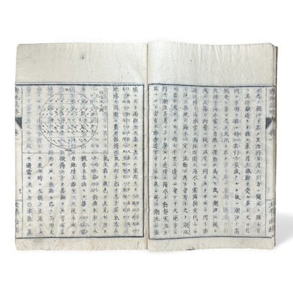 Meiji 1874 Japanese Illustrated Geography Book –《輿地誌畧》Yochi Shiryaku – Maps, Cultures, Animals – Rare Original - B123