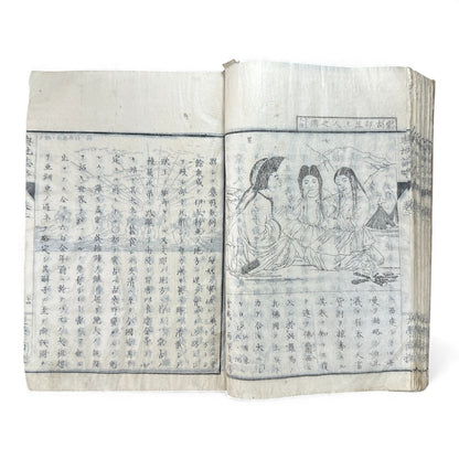 Meiji 1874 Japanese Illustrated Geography Book –《輿地誌畧》Yochi Shiryaku – Maps, Cultures, Animals – Rare Original - B123