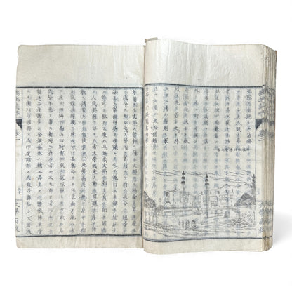 Meiji 1874 Japanese Illustrated Geography Book –《輿地誌畧》Yochi Shiryaku – Maps, Cultures, Animals – Rare Original - B123