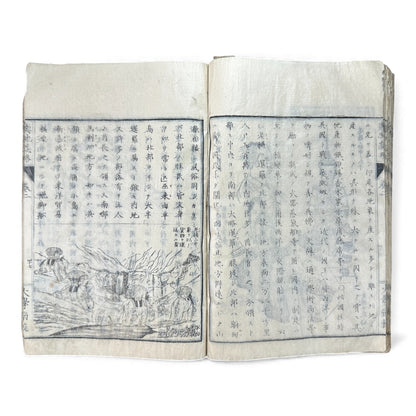 Meiji 1874 Japanese Illustrated Geography Book –《輿地誌畧》Yochi Shiryaku – Maps, Cultures, Animals – Rare Original - B123