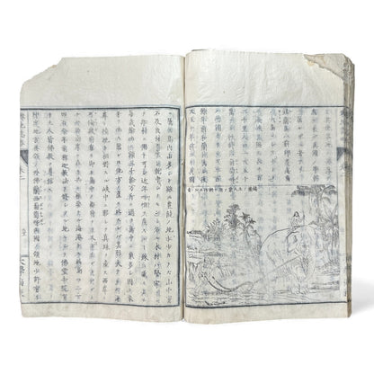 Meiji 1874 Japanese Illustrated Geography Book –《輿地誌畧》Yochi Shiryaku – Maps, Cultures, Animals – Rare Original - B123