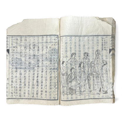 Meiji 1874 Japanese Illustrated Geography Book –《輿地誌畧》Yochi Shiryaku – Maps, Cultures, Animals – Rare Original - B123