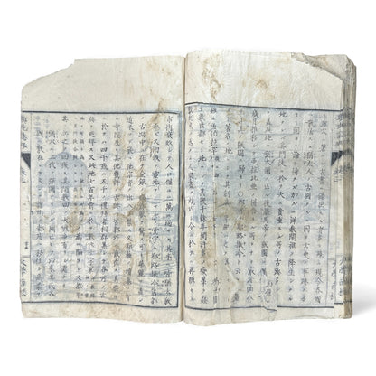 Meiji 1874 Japanese Illustrated Geography Book –《輿地誌畧》Yochi Shiryaku – Maps, Cultures, Animals – Rare Original - B123