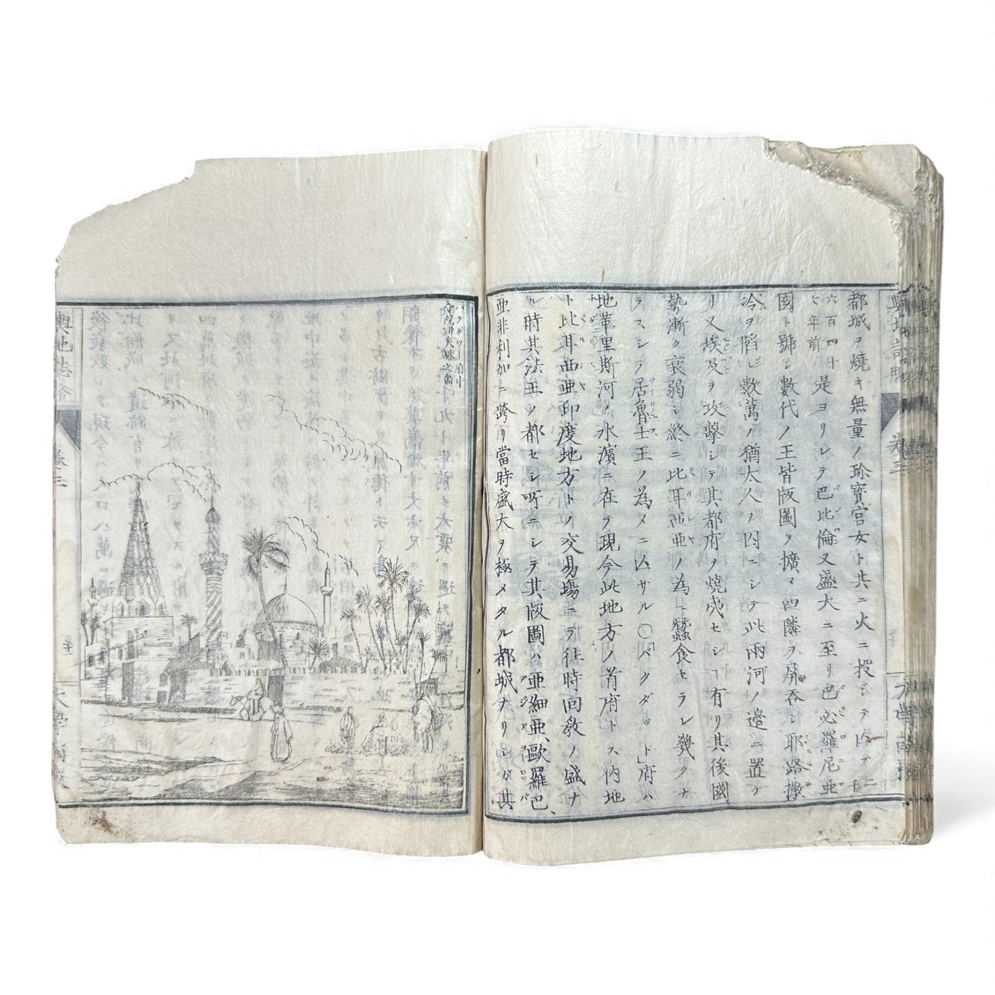 Meiji 1874 Japanese Illustrated Geography Book –《輿地誌畧》Yochi Shiryaku – Maps, Cultures, Animals – Rare Original - B123