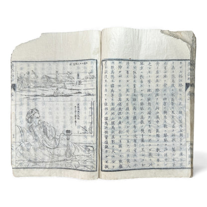 Meiji 1874 Japanese Illustrated Geography Book –《輿地誌畧》Yochi Shiryaku – Maps, Cultures, Animals – Rare Original - B123