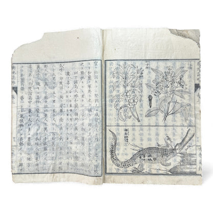 Meiji 1874 Japanese Illustrated Geography Book –《輿地誌畧》Yochi Shiryaku – Maps, Cultures, Animals – Rare Original - B123