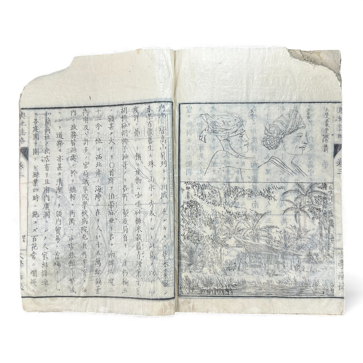 Meiji 1874 Japanese Illustrated Geography Book –《輿地誌畧》Yochi Shiryaku – Maps, Cultures, Animals – Rare Original - B123