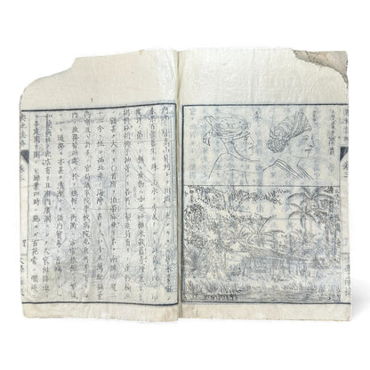 Meiji 1874 Japanese Illustrated Geography Book –《輿地誌畧》Yochi Shiryaku – Maps, Cultures, Animals – Rare Original - B123