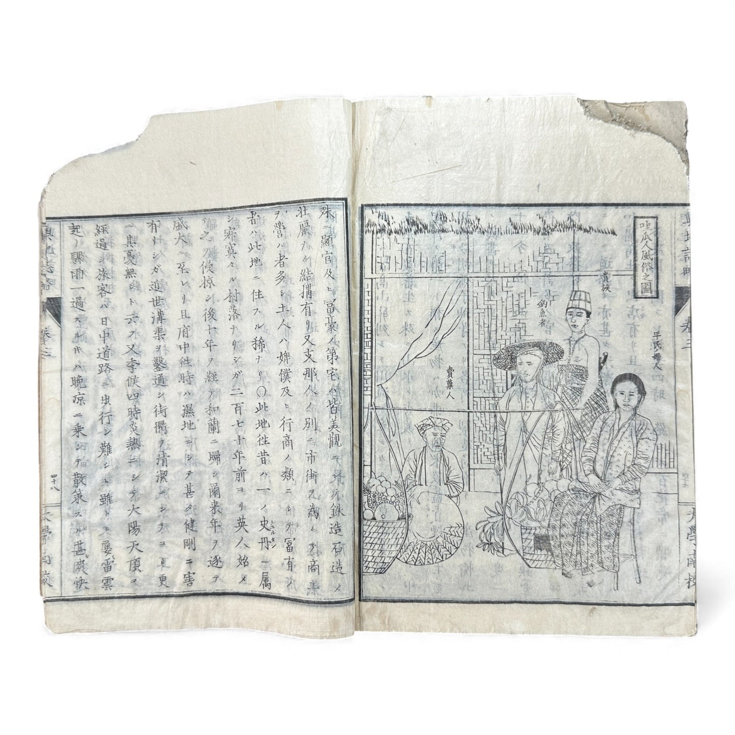 Meiji 1874 Japanese Illustrated Geography Book –《輿地誌畧》Yochi Shiryaku – Maps, Cultures, Animals – Rare Original - B123