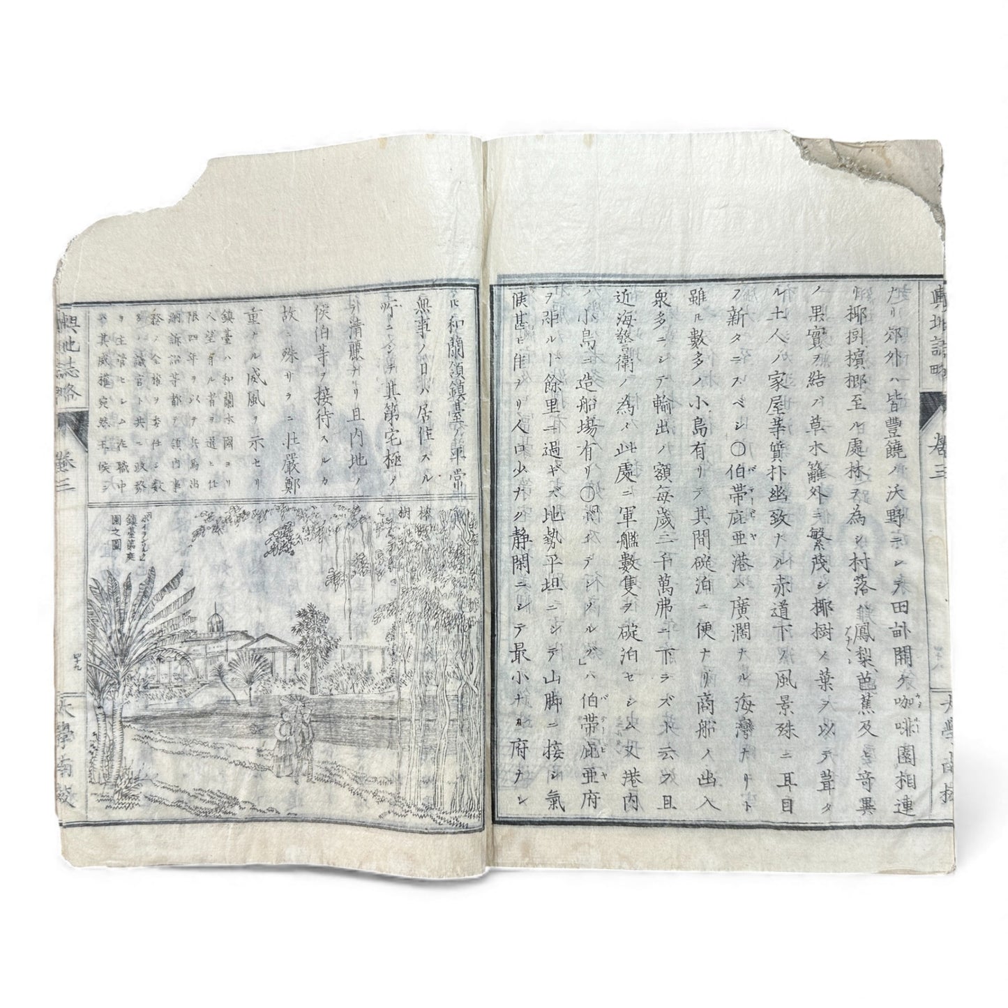 Meiji 1874 Japanese Illustrated Geography Book –《輿地誌畧》Yochi Shiryaku – Maps, Cultures, Animals – Rare Original - B123