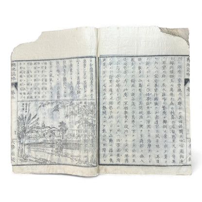 Meiji 1874 Japanese Illustrated Geography Book –《輿地誌畧》Yochi Shiryaku – Maps, Cultures, Animals – Rare Original - B123