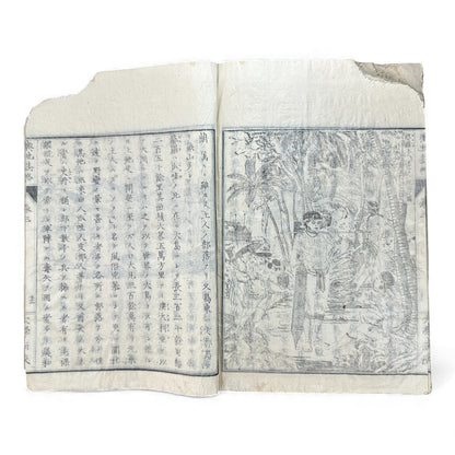 Meiji 1874 Japanese Illustrated Geography Book –《輿地誌畧》Yochi Shiryaku – Maps, Cultures, Animals – Rare Original - B123