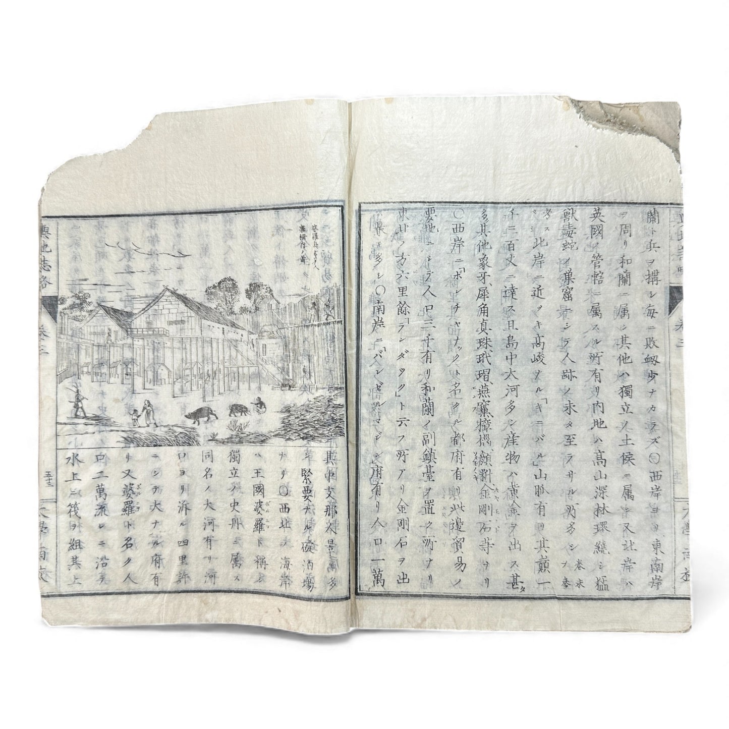 Meiji 1874 Japanese Illustrated Geography Book –《輿地誌畧》Yochi Shiryaku – Maps, Cultures, Animals – Rare Original - B123