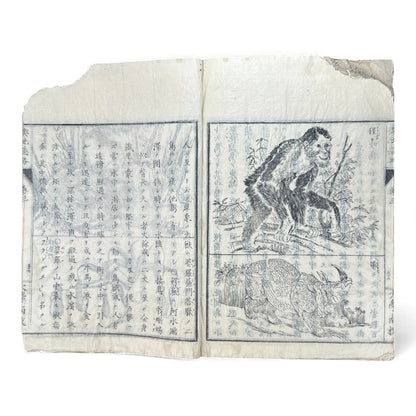 Meiji 1874 Japanese Illustrated Geography Book –《輿地誌畧》Yochi Shiryaku – Maps, Cultures, Animals – Rare Original - B123