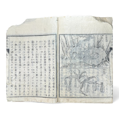 Meiji 1874 Japanese Illustrated Geography Book –《輿地誌畧》Yochi Shiryaku – Maps, Cultures, Animals – Rare Original - B123