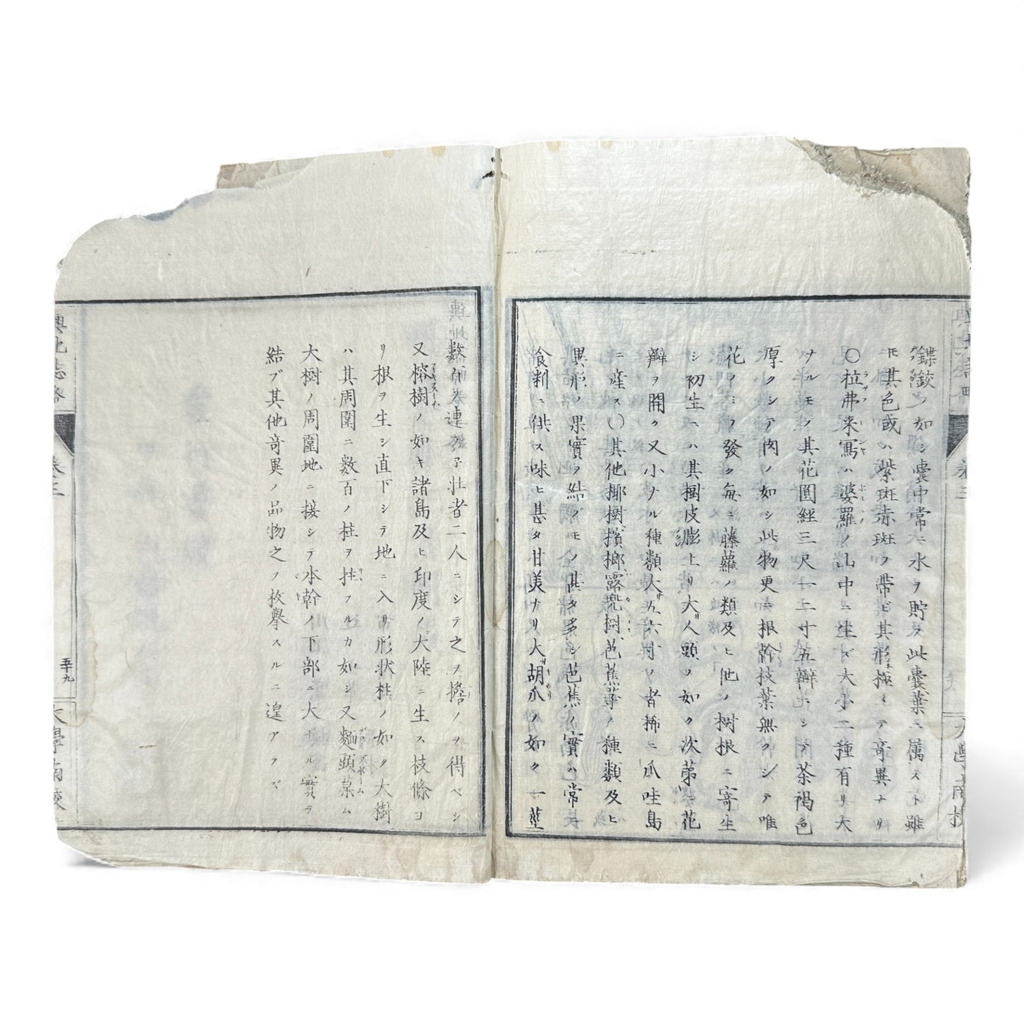 Meiji 1874 Japanese Illustrated Geography Book –《輿地誌畧》Yochi Shiryaku – Maps, Cultures, Animals – Rare Original - B123