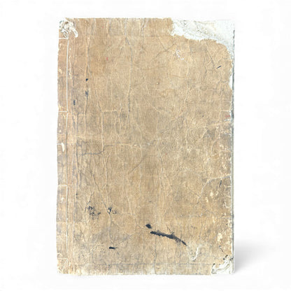 Meiji 1874 Japanese Illustrated Geography Book –《輿地誌畧》Yochi Shiryaku – Maps, Cultures, Animals – Rare Original - B123