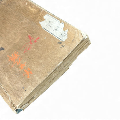 Meiji 1874 Japanese Illustrated Geography Book –《輿地誌畧》Yochi Shiryaku – Maps, Cultures, Animals – Rare Original - B123