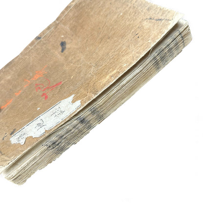 Meiji 1874 Japanese Illustrated Geography Book –《輿地誌畧》Yochi Shiryaku – Maps, Cultures, Animals – Rare Original - B123