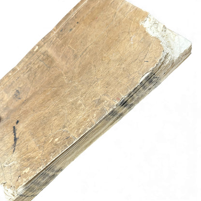 Meiji 1874 Japanese Illustrated Geography Book –《輿地誌畧》Yochi Shiryaku – Maps, Cultures, Animals – Rare Original - B123