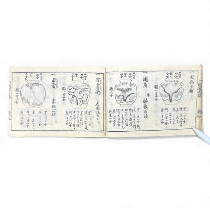 Edo-Period Tea Jar Identification Manual – 万宝全書 上巻  – Illustrated Woodblock-Printed Japanese Antique Book- B132