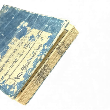 Edo–Meiji Japanese Seal Manual 印譜 — Woodblock-Printed Hanko & Tensho Reference Book (Antique) - B140