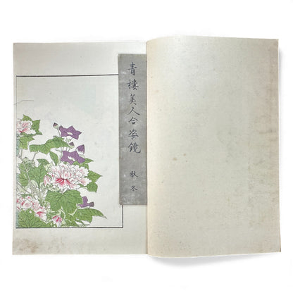 Antique Japanese Woodblock Print Book – Seirō Bijin Awase Kagami (青樓美人合姿鏡) – Taisho Bijin-ga Illustrated Album - B141