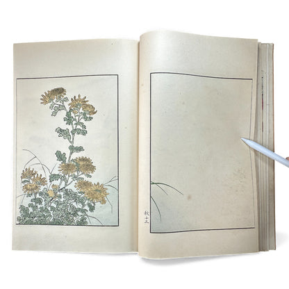 Antique Japanese Woodblock Print Book – Seirō Bijin Awase Kagami (青樓美人合姿鏡) – Taisho Bijin-ga Illustrated Album - B141