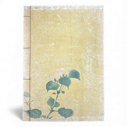 Taishō 1916 Woodblock Print Book – Seirō Bijin Awase Kagami (青楼美人合姿鏡) – Bijin-ga Japanese Art Book -B142