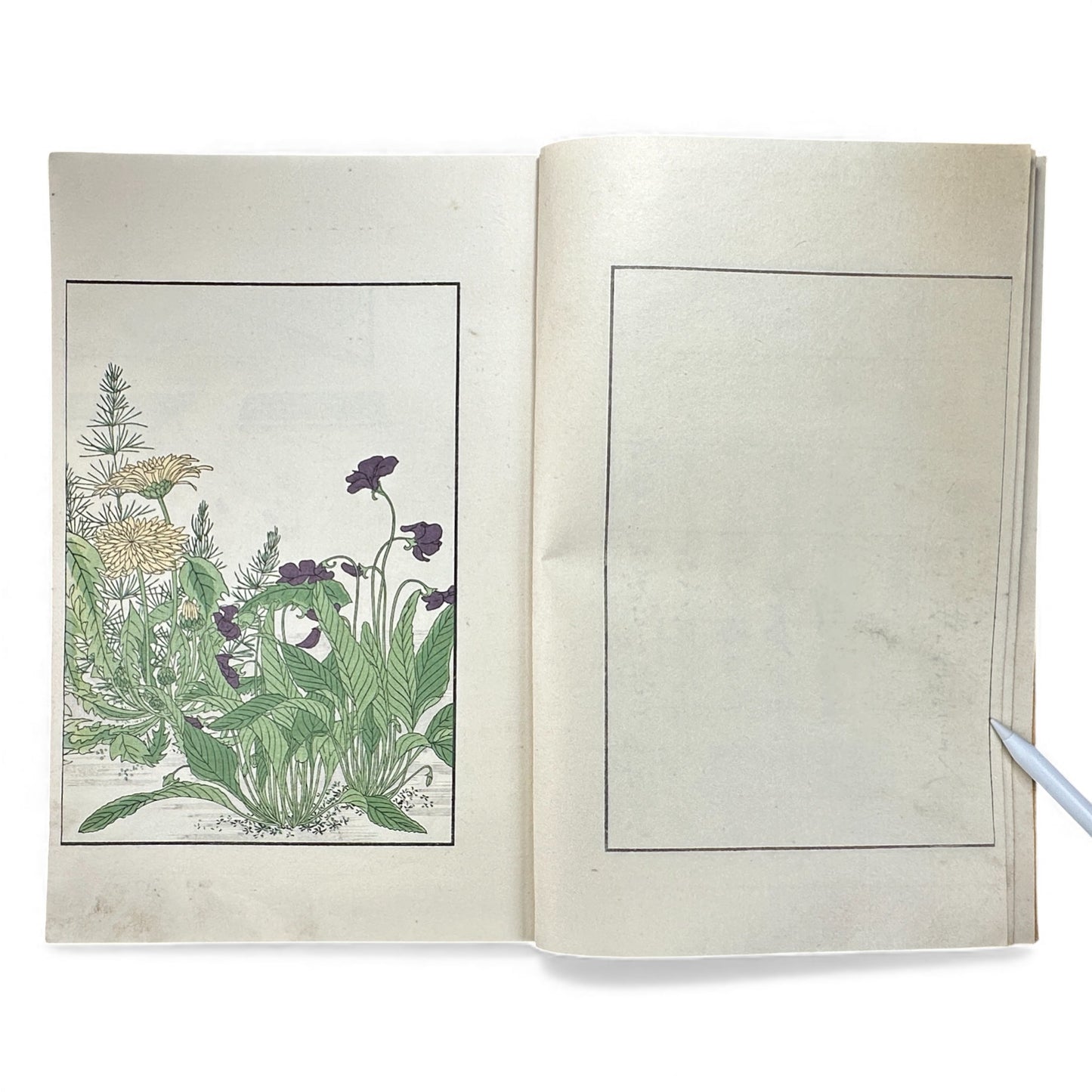 Antique Japanese Woodblock Print Book Taisho 1916 – Seirō Bijin Awase Kagami (青楼美人合姿鏡 春夏) – Spring & Summer Bijin-ga Album - B143