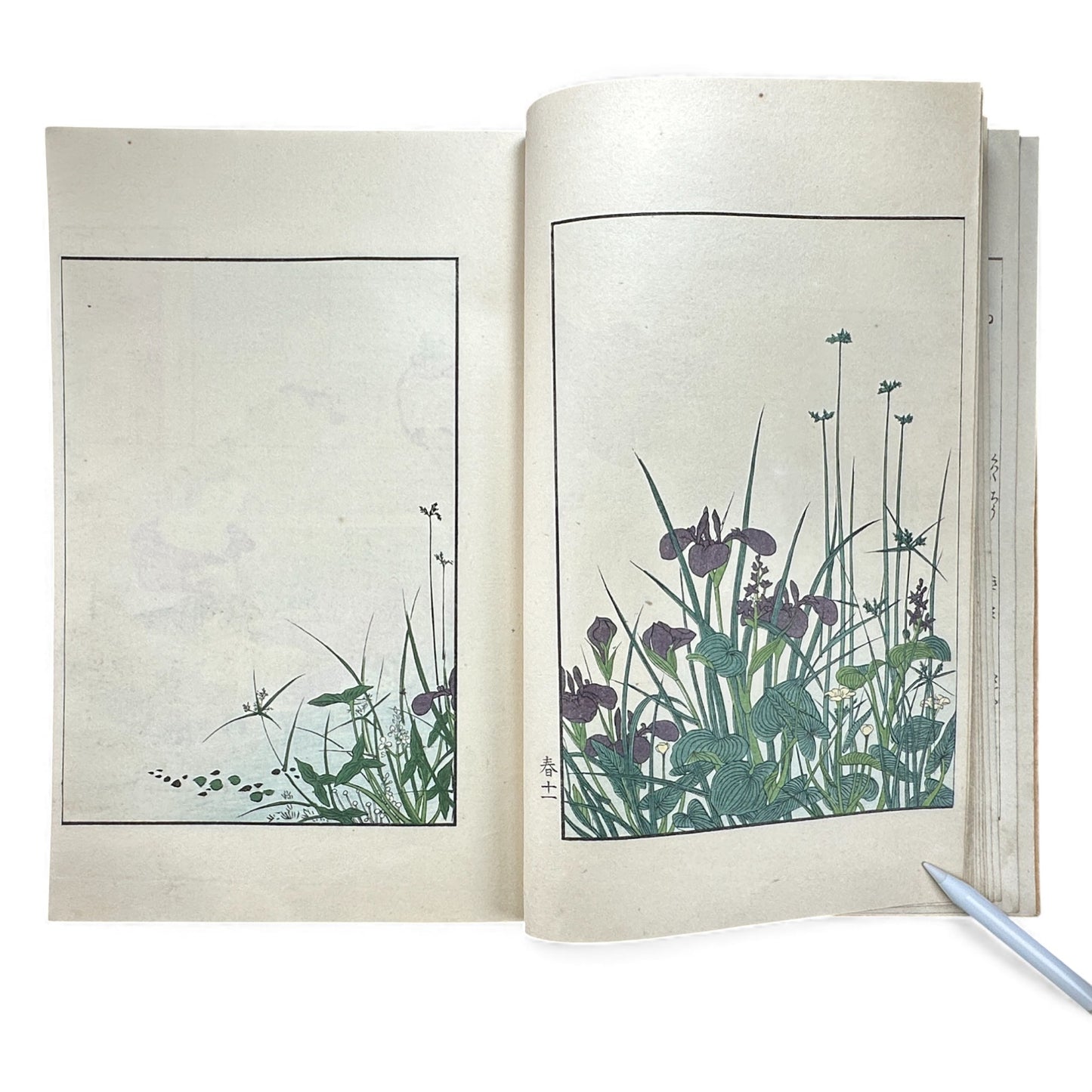 Antique Japanese Woodblock Print Book Taisho 1916 – Seirō Bijin Awase Kagami (青楼美人合姿鏡 春夏) – Spring & Summer Bijin-ga Album - B143
