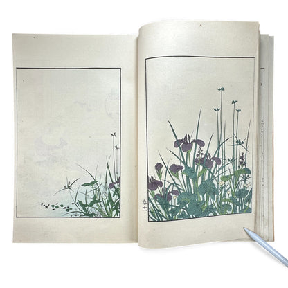 Antique Japanese Woodblock Print Book Taisho 1916 – Seirō Bijin Awase Kagami (青楼美人合姿鏡 春夏) – Spring & Summer Bijin-ga Album - B143