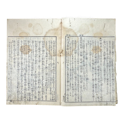Edo–Meiji Woodblock Book – Ise Meisho Zue 伊勢参宮名所図会（附録）– Illustrated Ise Pilgrimage Guide – Appendix Volume (Part 2) - B150