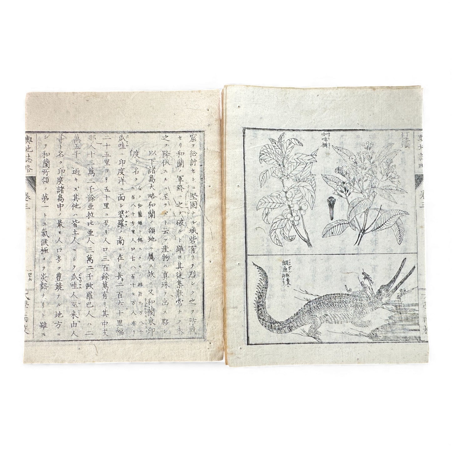Meiji-Era Japanese Geography Book – Illustrated Maps & World Descriptions – Antique 19th Century Textbook - B154