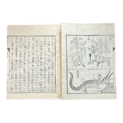 Meiji-Era Japanese Geography Book – Illustrated Maps & World Descriptions – Antique 19th Century Textbook - B154