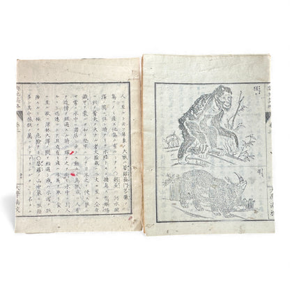 Meiji-Era Japanese Geography Book – Illustrated Maps & World Descriptions – Antique 19th Century Textbook - B154