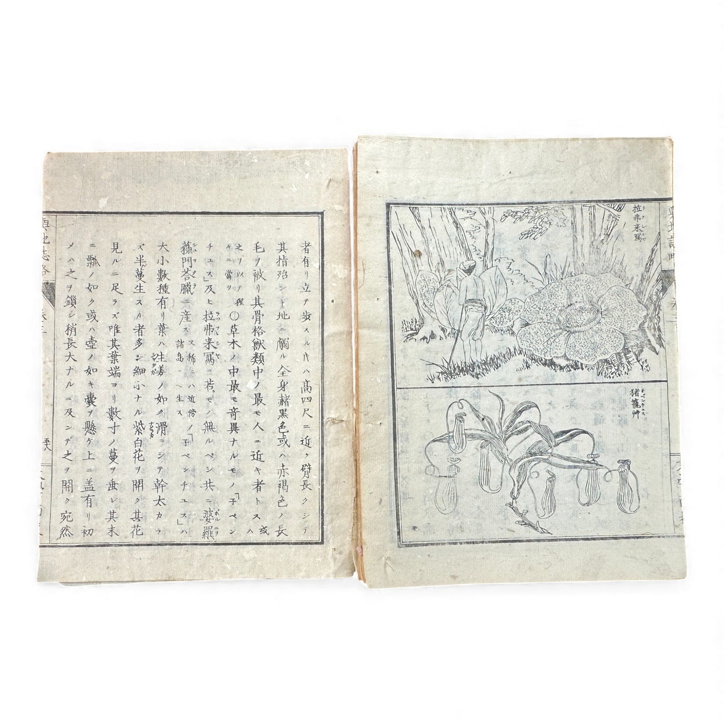 Meiji-Era Japanese Geography Book – Illustrated Maps & World Descriptions – Antique 19th Century Textbook - B154