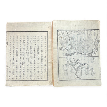 Meiji-Era Japanese Geography Book – Illustrated Maps & World Descriptions – Antique 19th Century Textbook - B154