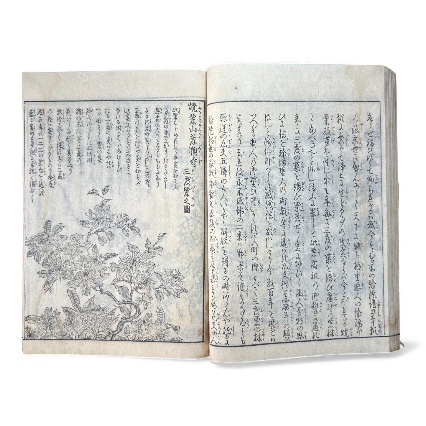 Nijūshihai Junpai Zue – Volume 4 Meiji Woodblock Book– 二十四輩順拝図会 巻四 越後 – Illustrated Buddhist Pilgrimage Guide (19th Century) - B160