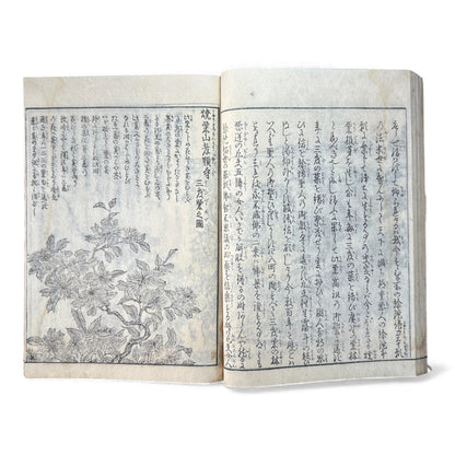 Nijūshihai Junpai Zue – Volume 4 Meiji Woodblock Book– 二十四輩順拝図会 巻四 越後 – Illustrated Buddhist Pilgrimage Guide (19th Century) - B160