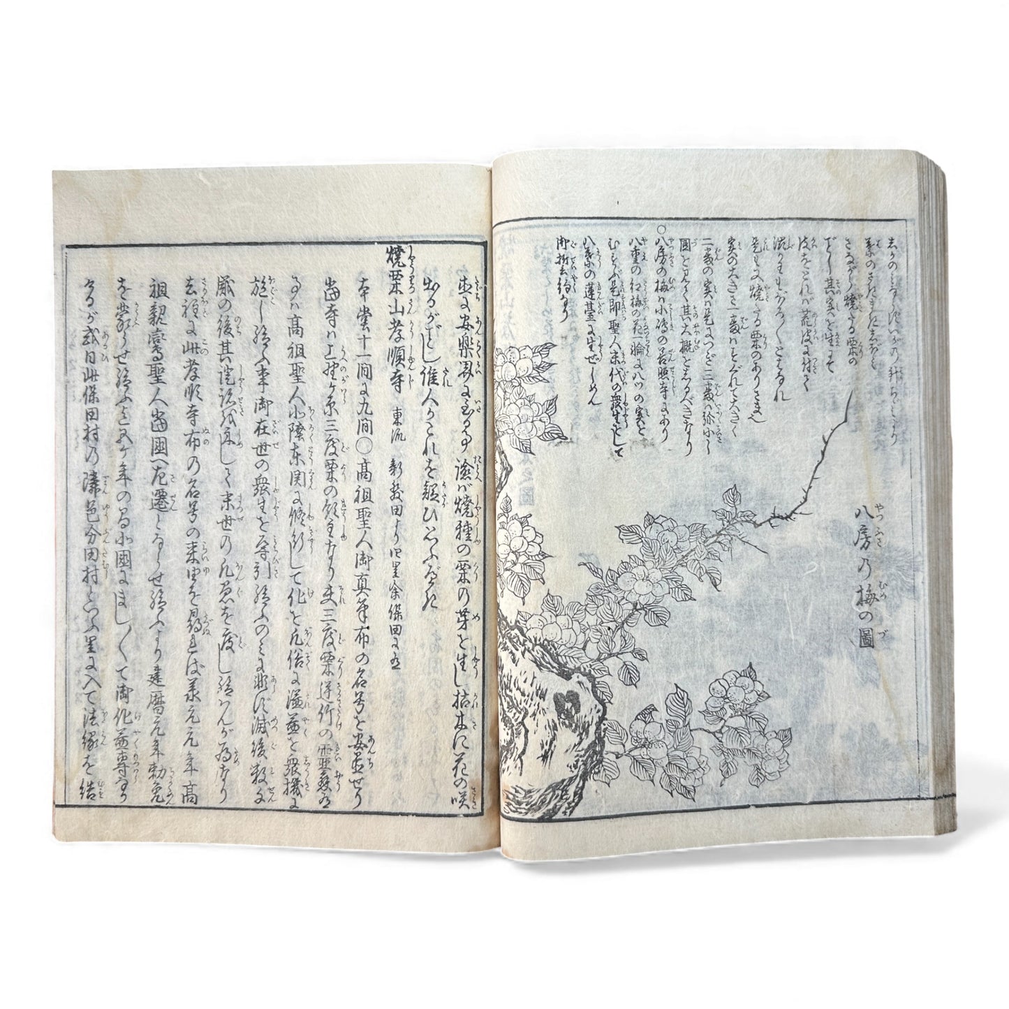 Nijūshihai Junpai Zue – Volume 4 Meiji Woodblock Book– 二十四輩順拝図会 巻四 越後 – Illustrated Buddhist Pilgrimage Guide (19th Century) - B160